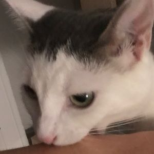 Meet your Posher, Kerry